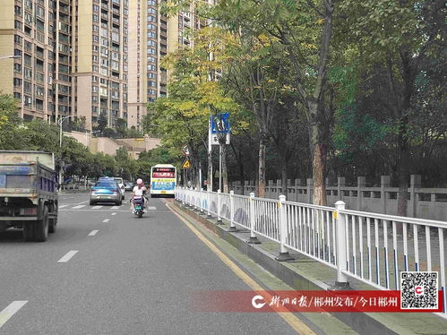 九子塘小學附近道路交通安全設施已完善